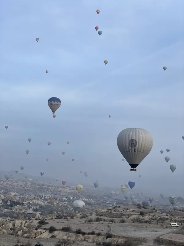 Dozens of hot-air balloons rising into a pale dawn sky over Cappadocia, one large striped balloon close by