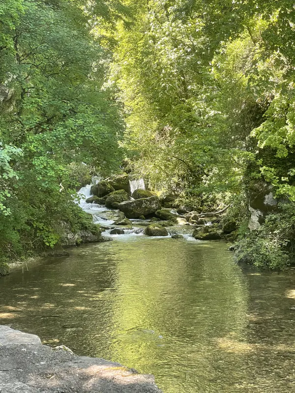 A calm, clear stream in a gorge with sunlight filtering through fresh leaves