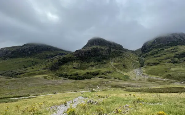 The three peaks of the Three Sisters in Glencoe with low cloud on their summits, a path and wildflowers in the foreground