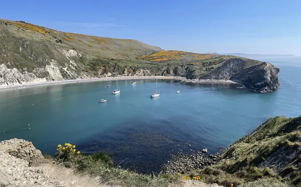 The near-circular bay of Lulworth Cove with sailing boats on clear blue water and green hills around it