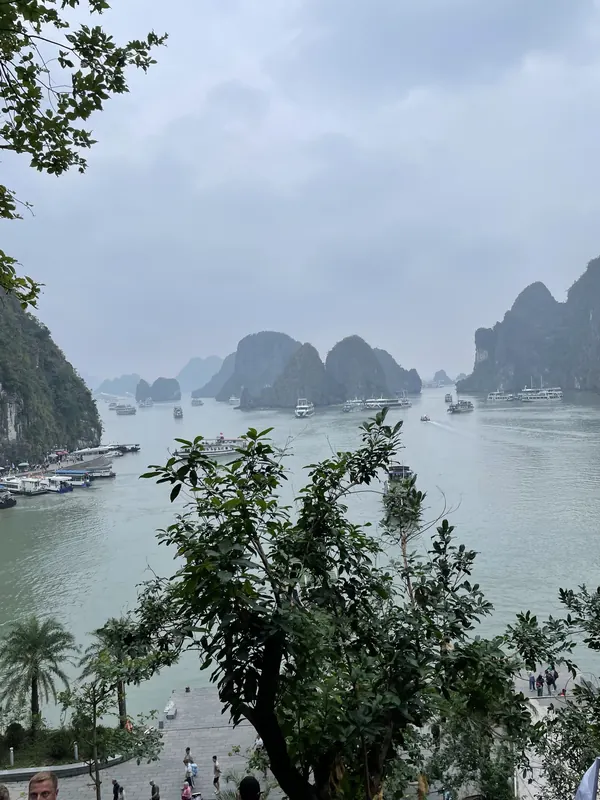 Limestone islands rising from Ha Long Bay, with tour boats moored below and trees in the foreground