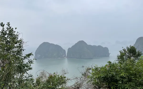 Two karst islands in the misty water of Ha Long Bay, framed by trees on Ti Top Island